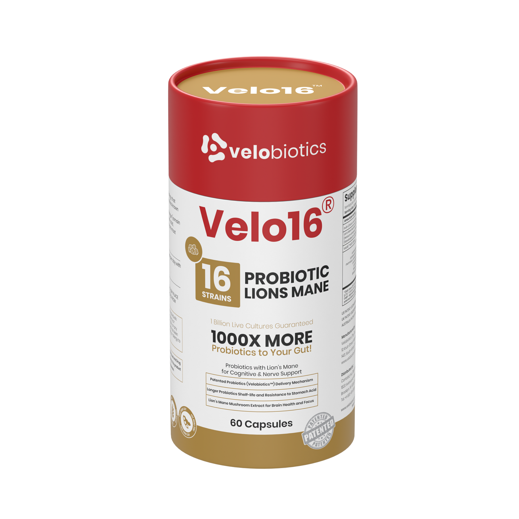 Velo16 Probiotics Lions Mane supplement bottle with 16 probiotic strains for gut and brain health, 60 capsules.
