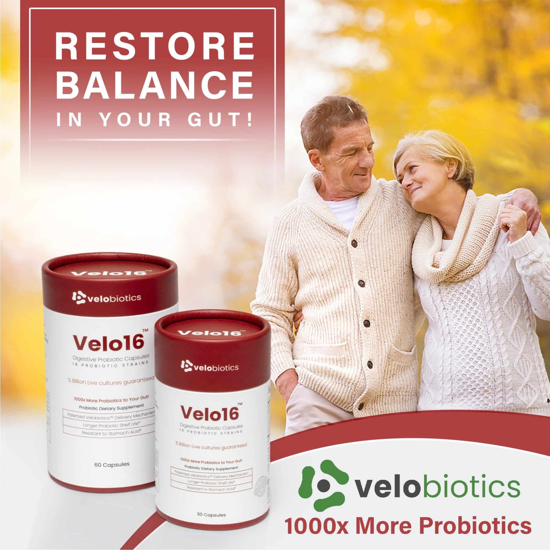 Velo16 Probiotic Digestive Capsules - Velobiotics