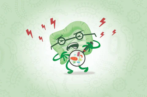 Health Issues Caused by Bacterial Imbalances