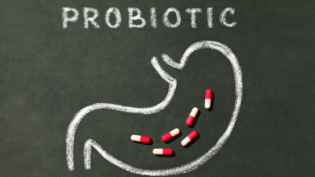 What are probiotics and what are the health benefits?