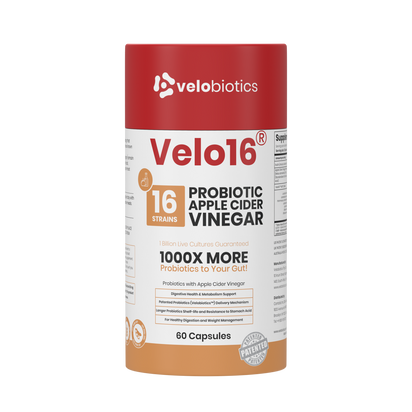 Velo16 Probiotics Apple Cider Vinegar supplement bottle with 16 probiotic strains and patented delivery for gut health.