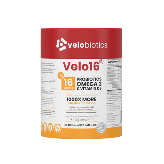 Velo16 Probiotics supplement with Omega-3 and Vitamin D3 capsules for gut and mental wellness