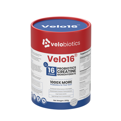 Velo16 Probiotics Creatine Monohydrate supplement powder container promoting muscle performance and gut health with patented probiotic delivery system.