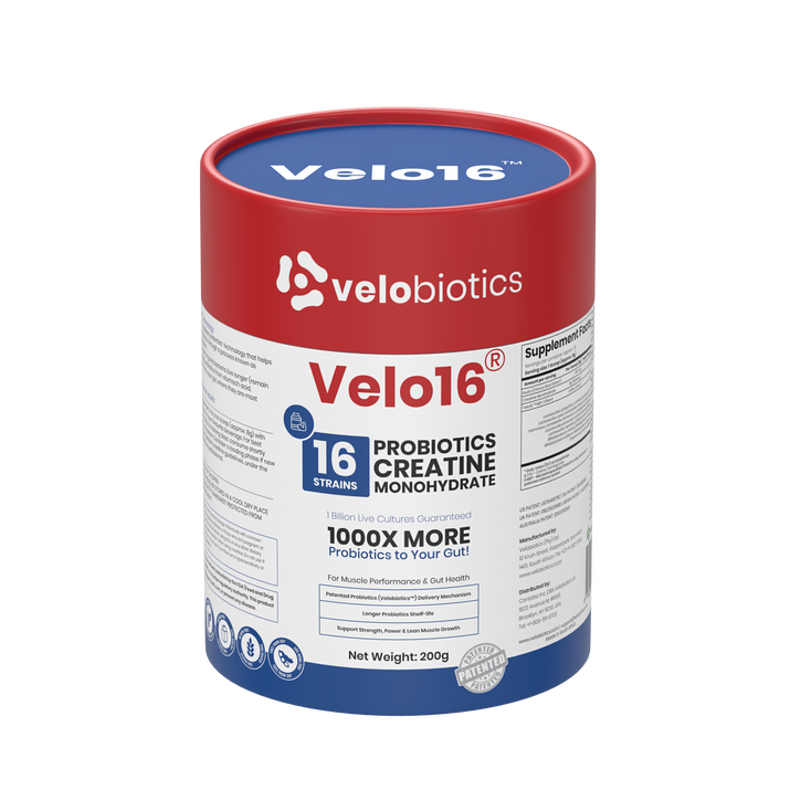 Velo16 Probiotics Creatine Monohydrate supplement powder container promoting muscle performance and gut health with patented probiotic delivery system.