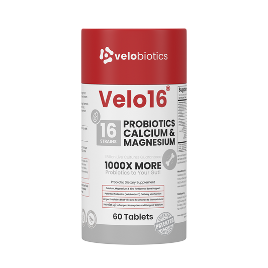 Velo16 Probiotics Calcium & Magnesium supplement bottle with 16 strains, supporting gut health, muscle, and nerve function in 60 tablets.