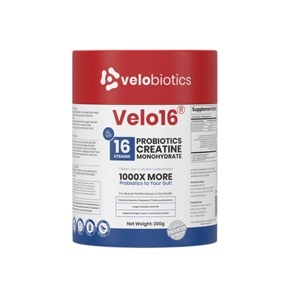 Velo16 Probiotics Creatine Monohydrate powder container for muscle performance and gut health supplement