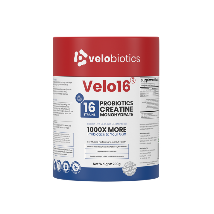 Velo16 Probiotics Creatine Monohydrate powder container for muscle performance and gut health supplement