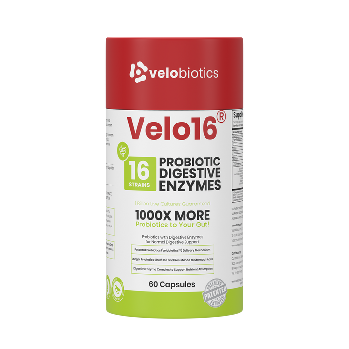 Velo16 Probiotics + Digestive Enzymes supplement bottle with 16 strains, 60 capsules for gut health and digestive support.