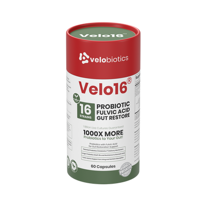 Velo16 Probiotics Fulvic Acid supplement with 16-strain probiotic blend for gut restoration and nutrient absorption support, 60 capsules.