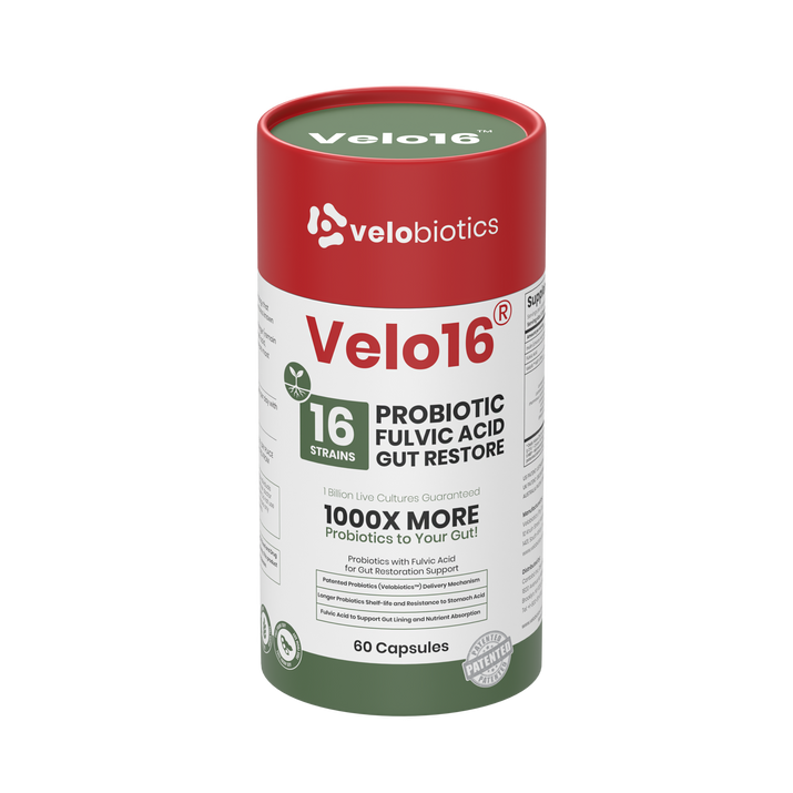 Velo16 Probiotics Fulvic Acid supplement with 16-strain probiotic blend for gut restoration and nutrient absorption support, 60 capsules.
