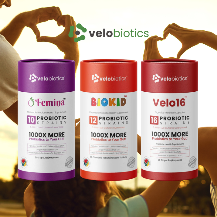 Three Velobiotics probiotic supplement bottles including Velo16 Probiotic Digestive Capsules with 16 strains for gut health and immunity.