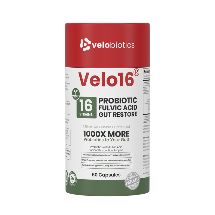 Velo16 Probiotics Fulvic Acid supplement bottle with 16 strain probiotic blend for gut restoration and nutrient absorption support