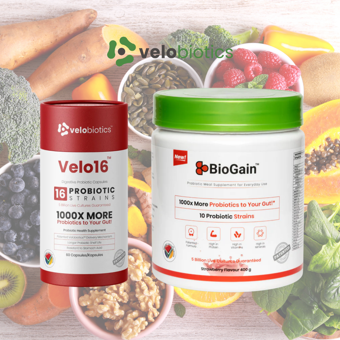 Velo16 Probiotic Digestive Capsules and BioGain Probiotic Meal Replacement with 16 probiotic strains for gut health and immune support