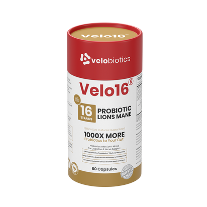 Velo16 Probiotics Lions Mane supplement bottle with 16 probiotic strains for gut and brain health, 60 capsules.