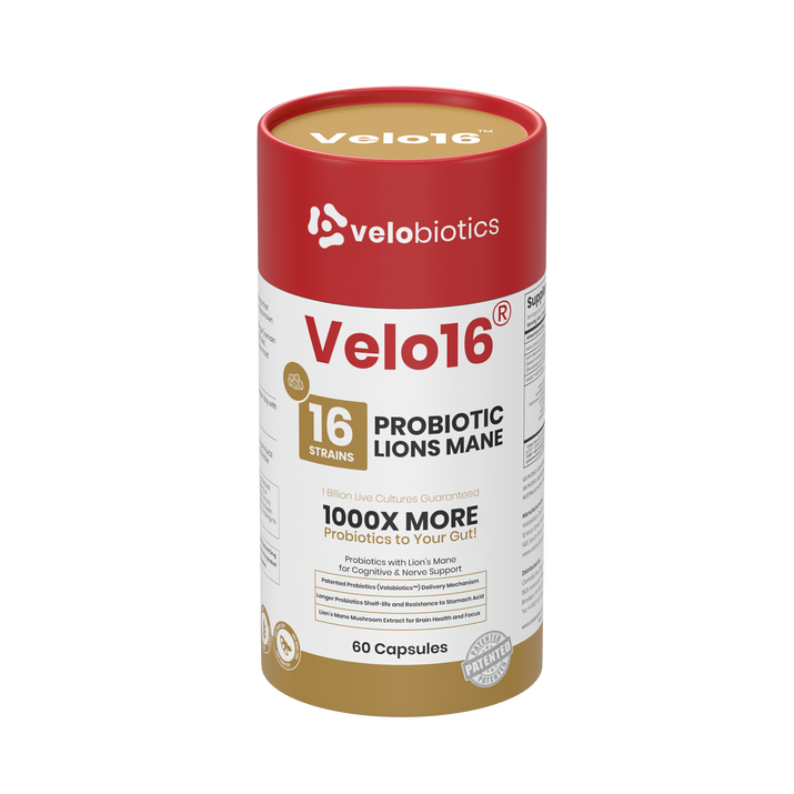 Velo16 Probiotics Lions Mane supplement bottle with 16 probiotic strains for gut and brain health, 60 capsules.