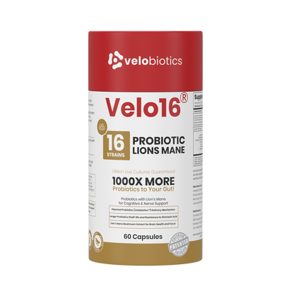 Velo16 Probiotics Lions Mane supplement bottle with 16 strains for gut health and cognitive support, 60 capsules.