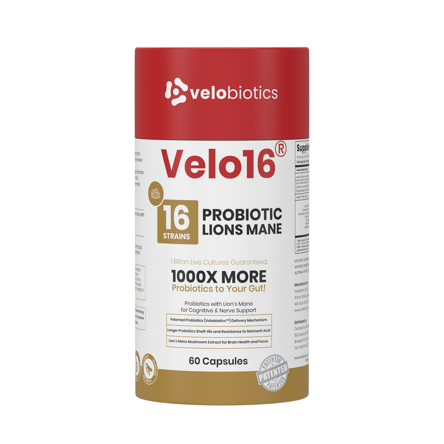 Velo16 Probiotics Lions Mane supplement bottle with 16 strains for gut health and cognitive support, 60 capsules.