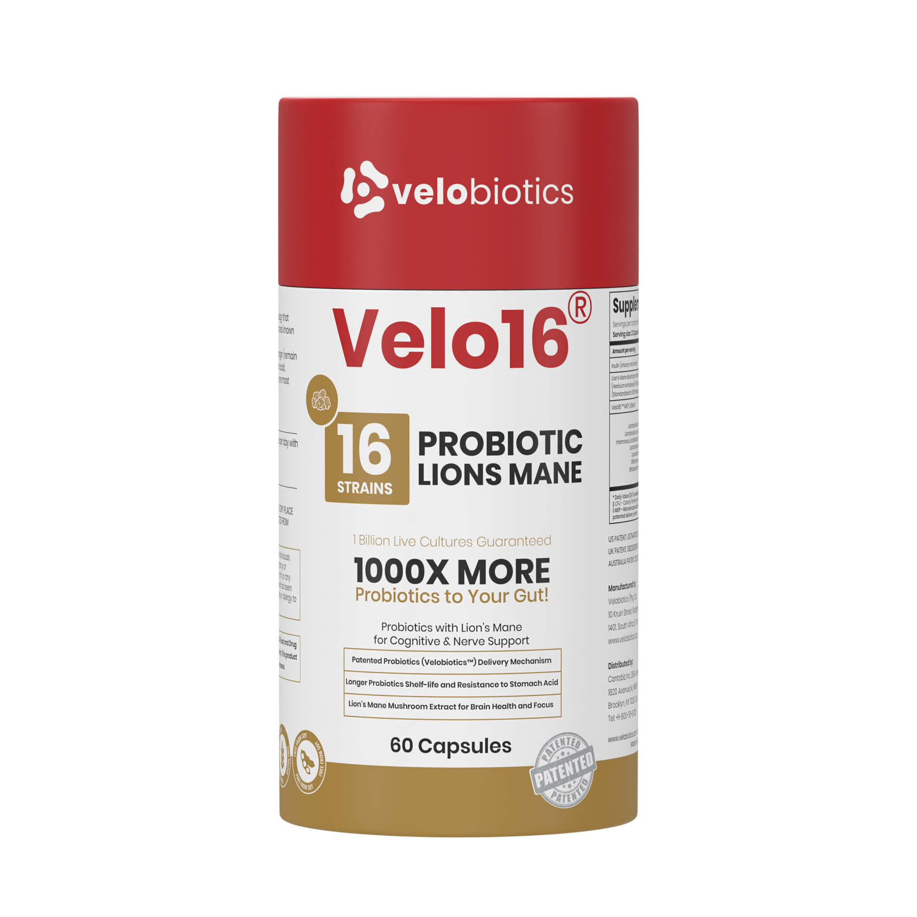 Velo16 Probiotics Lions Mane supplement bottle with 16 strains for gut health and cognitive support, 60 capsules.