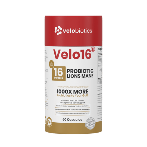 Velo16 Probiotika Leeu se Mane