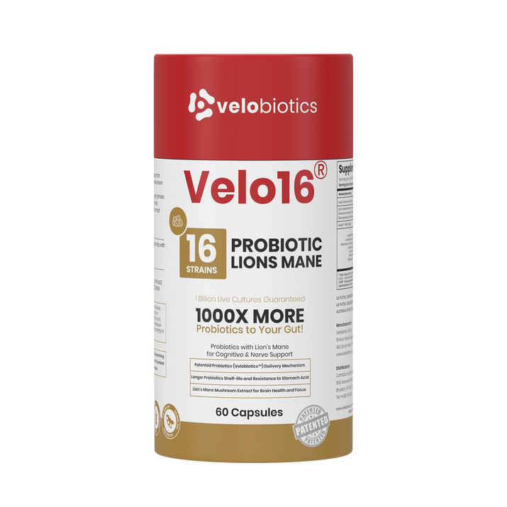Velo16 Probiotics Lions Mane supplement bottle with 16 strains for gut health and cognitive support, 60 capsules.