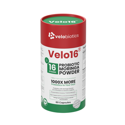 Velo16 Probiotics Moringa Powder supplement bottle with 16 strain probiotic blend and natural antioxidant support in capsules