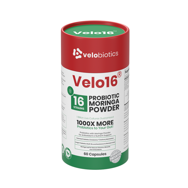 Velo16 Probiotics Moringa Powder supplement bottle with 16 strain probiotic blend and natural antioxidant support in capsules