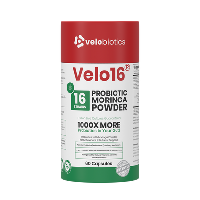 Velo16 Probiotics Moringa powder capsules with 16 strains for gut health and antioxidant support, 60 count bottle