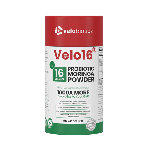 Velo16 Probiotics Moringa