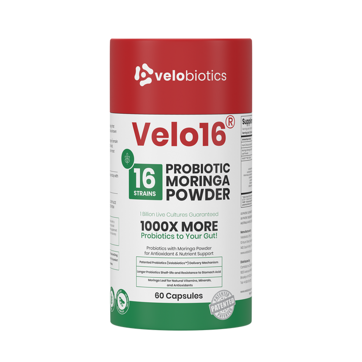 Velo16 Probiotics Moringa powder capsules with 16 strains for gut health and antioxidant support, 60 count bottle