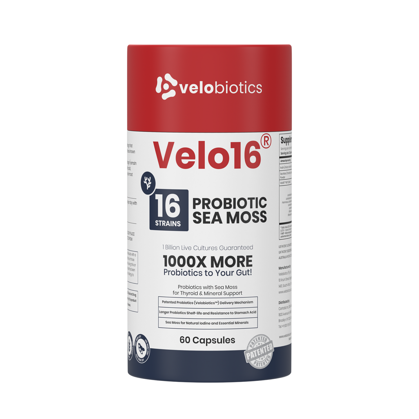 Velo16 Probiotics Sea Moss supplement with 16 strains, lion’s mane, and patented probiotics for gut and cognitive support.