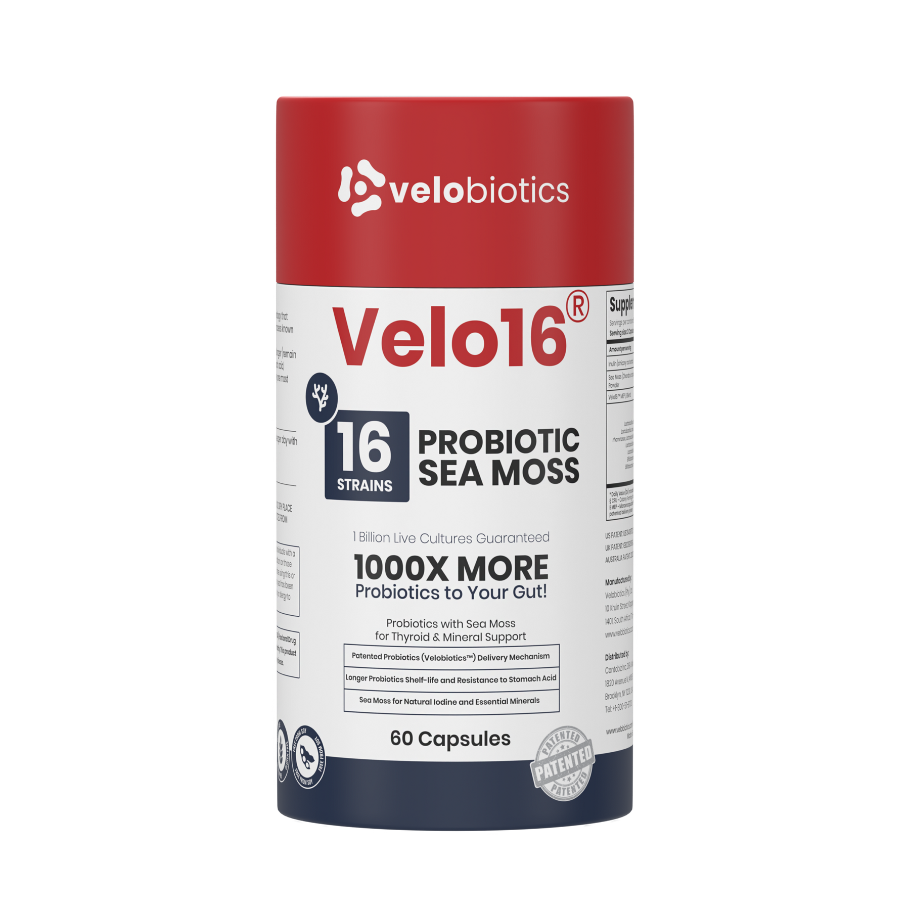 Velo16 Probiotics Sea Moss supplement with 16 strains, lion’s mane, and patented probiotics for gut and cognitive support.