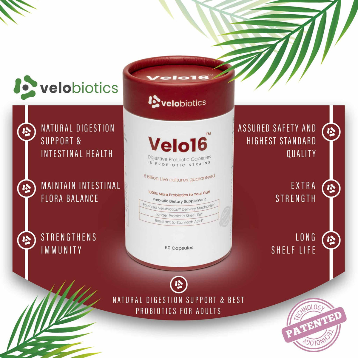 Velo16 Probiotiese Spysverteringskapsules — image 5