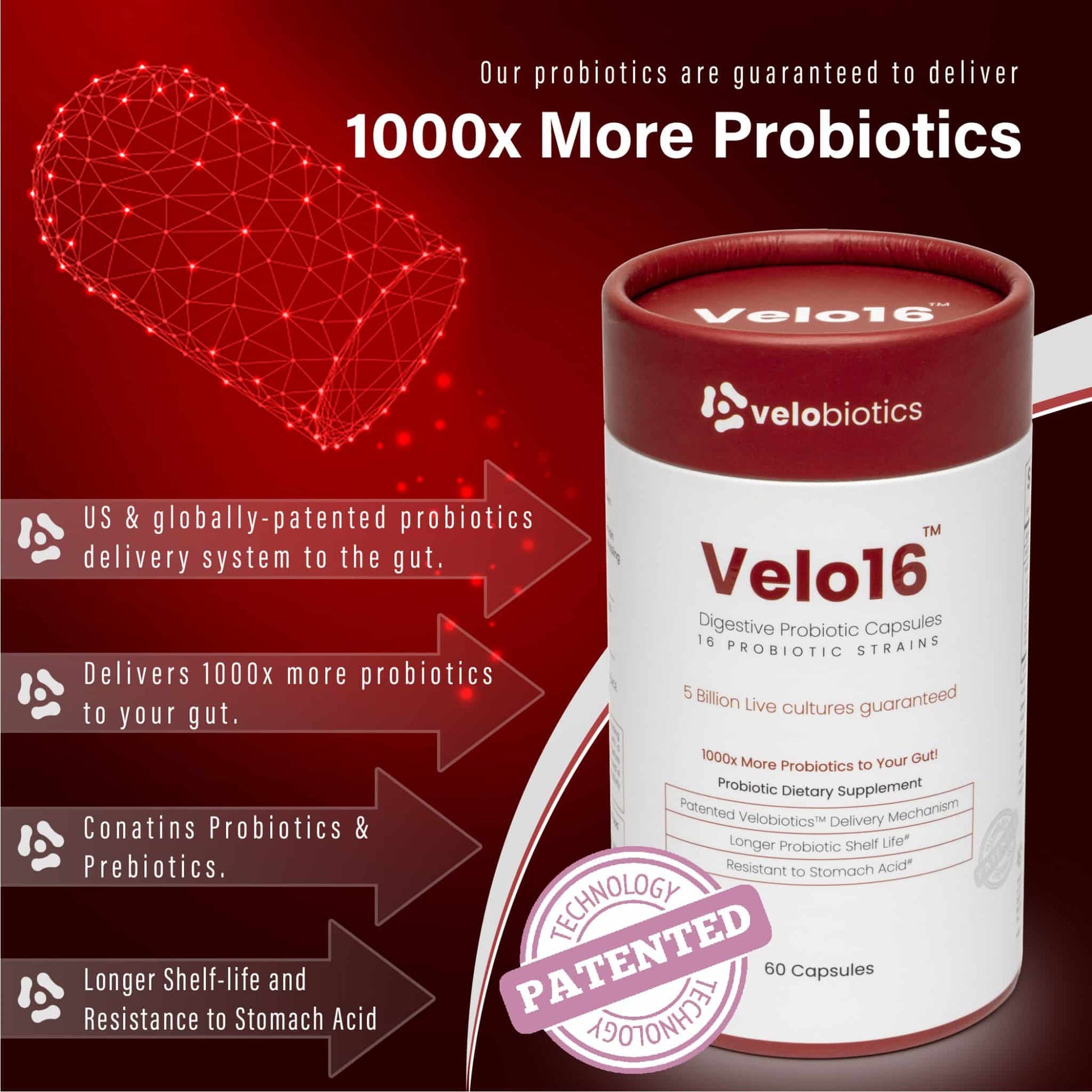 GutBundle Couple Pack - Him and Her Probiotic Value Pack - Velobiotics