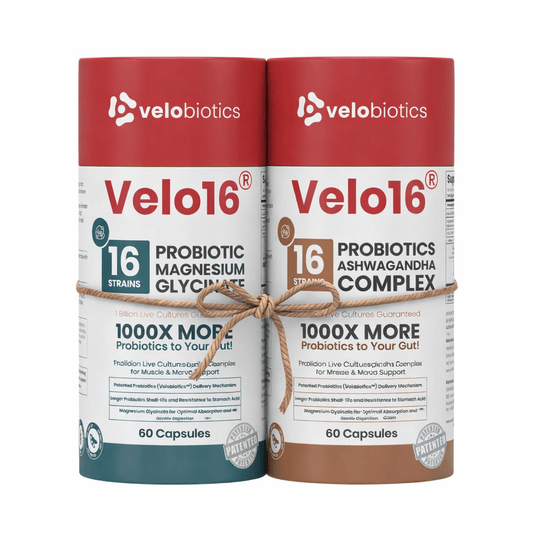 Calm Nights Bundle – Magnesium Glycinate + Ashwagandha (Gut & Calm Support) - Velobiotics