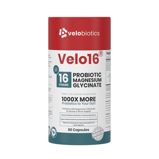 Velo16 Probiotics Magnesium Glycinate supplement bottle with 16-strain probiotics for gut and muscle support, 60 capsules.
